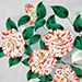 Yuki Miyashita Gallery
